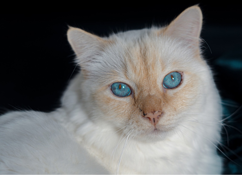 9aa1e297-d76d-4a80-b05d-a0197ed93572